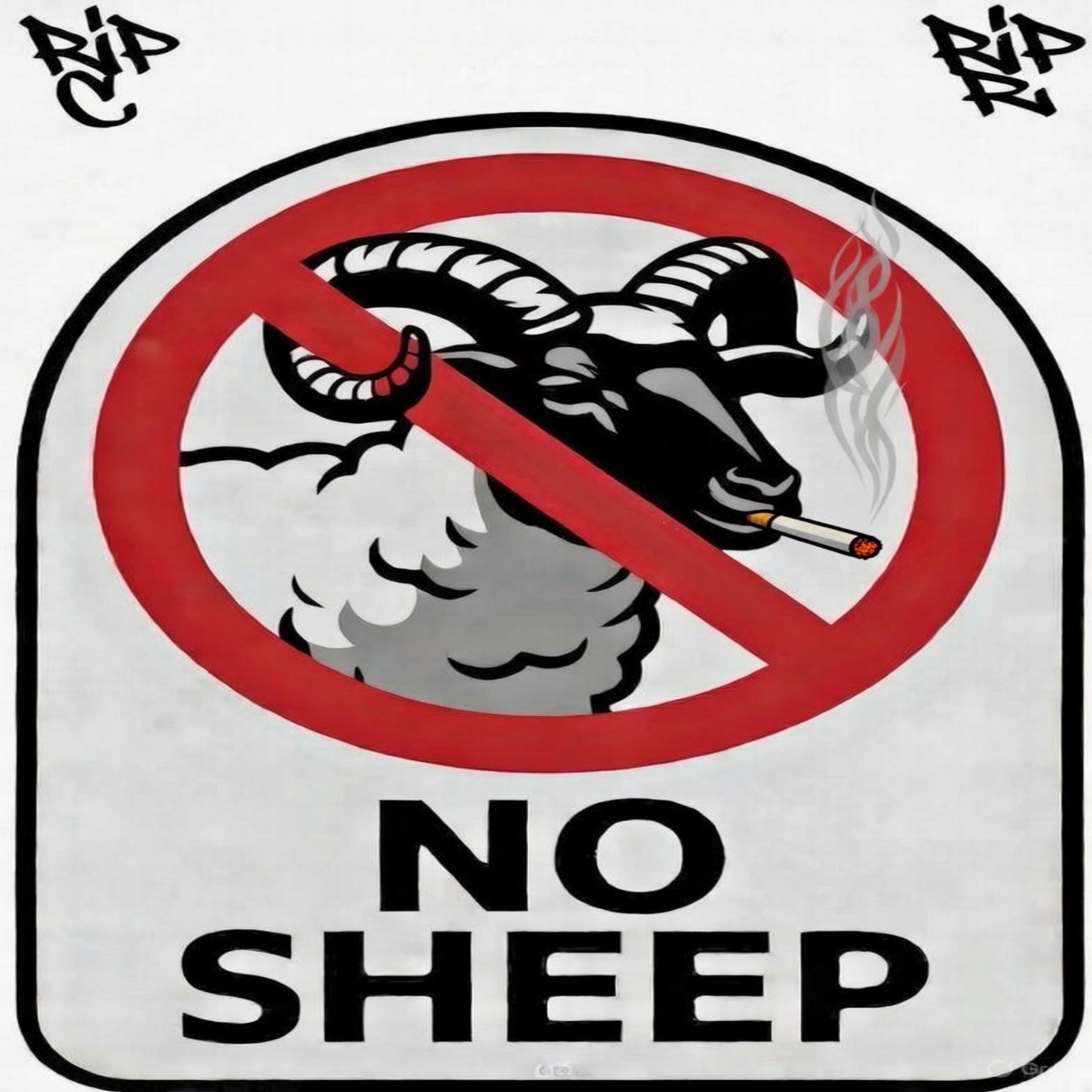 No Sheep