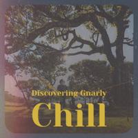 Discovering Gnarly Chill