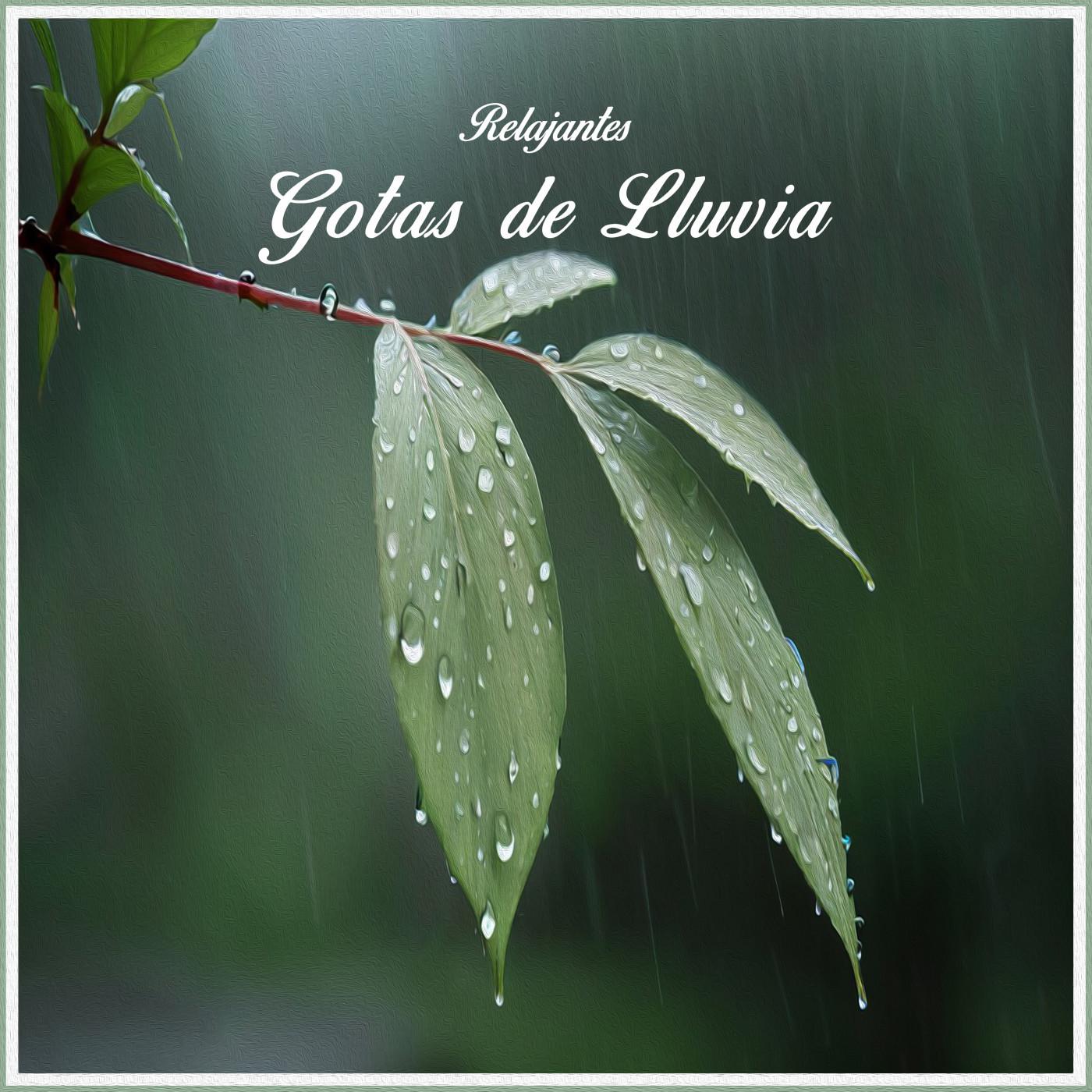 Sonidos De Gotas De LLuvia Para Relajarse Pt 39 Sonido De Lluvia