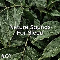 #01 Nature Sounds For Sleep