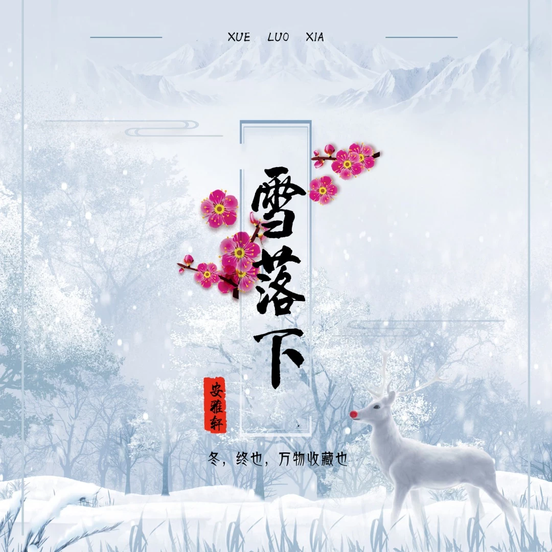 雪落下封面