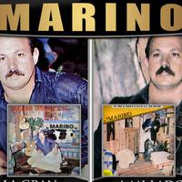 Marino资料,Marino最新歌曲,MarinoMV视频,Marino音乐专辑,Marino好听的歌