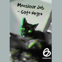 Gato Negro