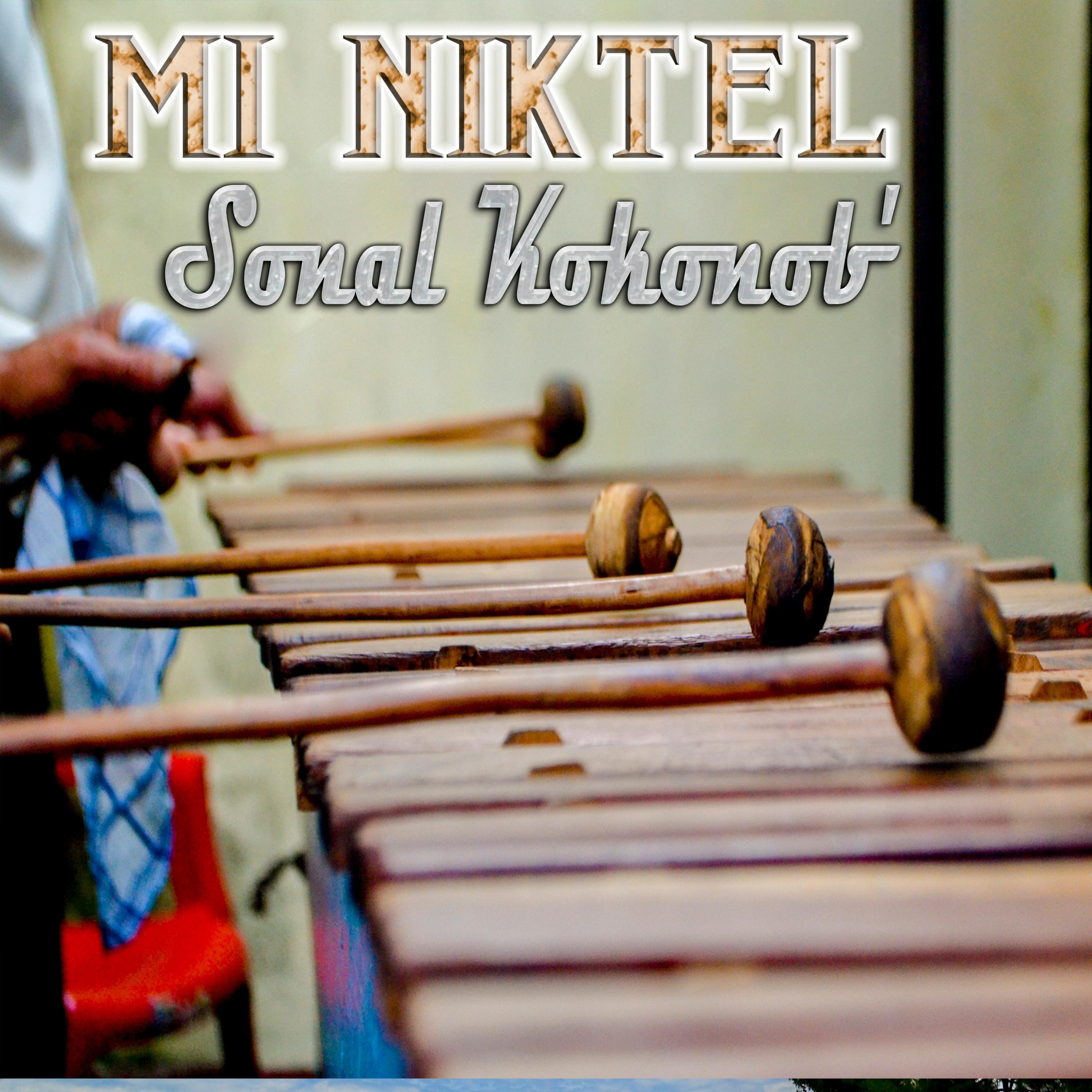 Tx'otx'al Te Sanikte