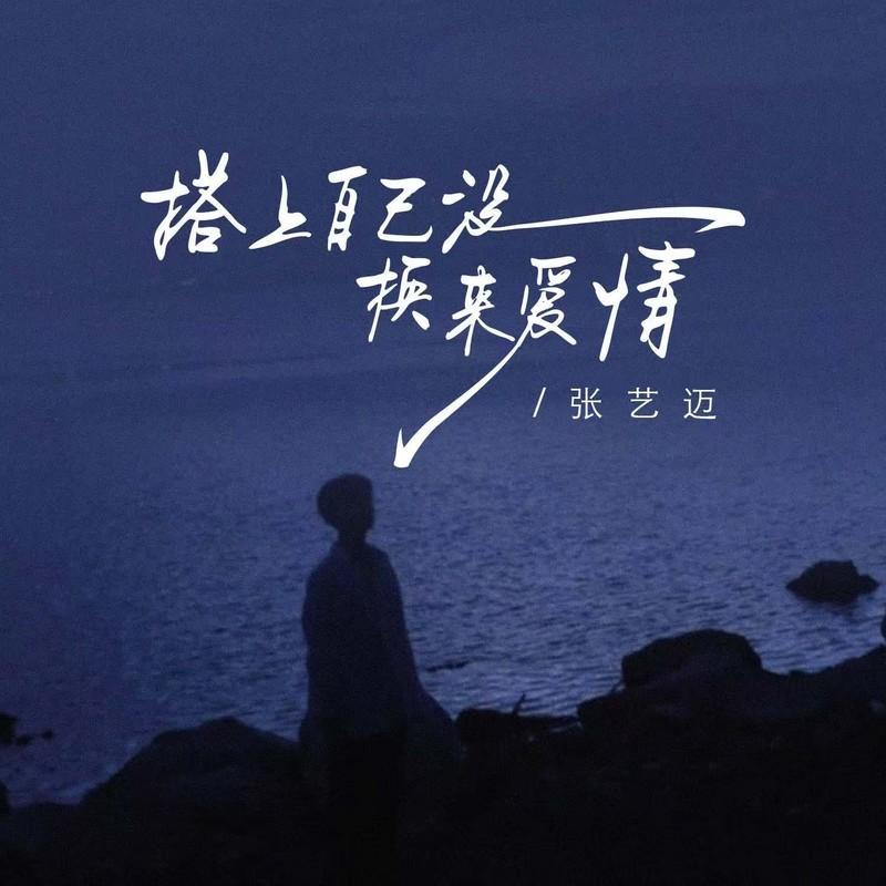搭上自己没换来爱情 - 张艺迈封面