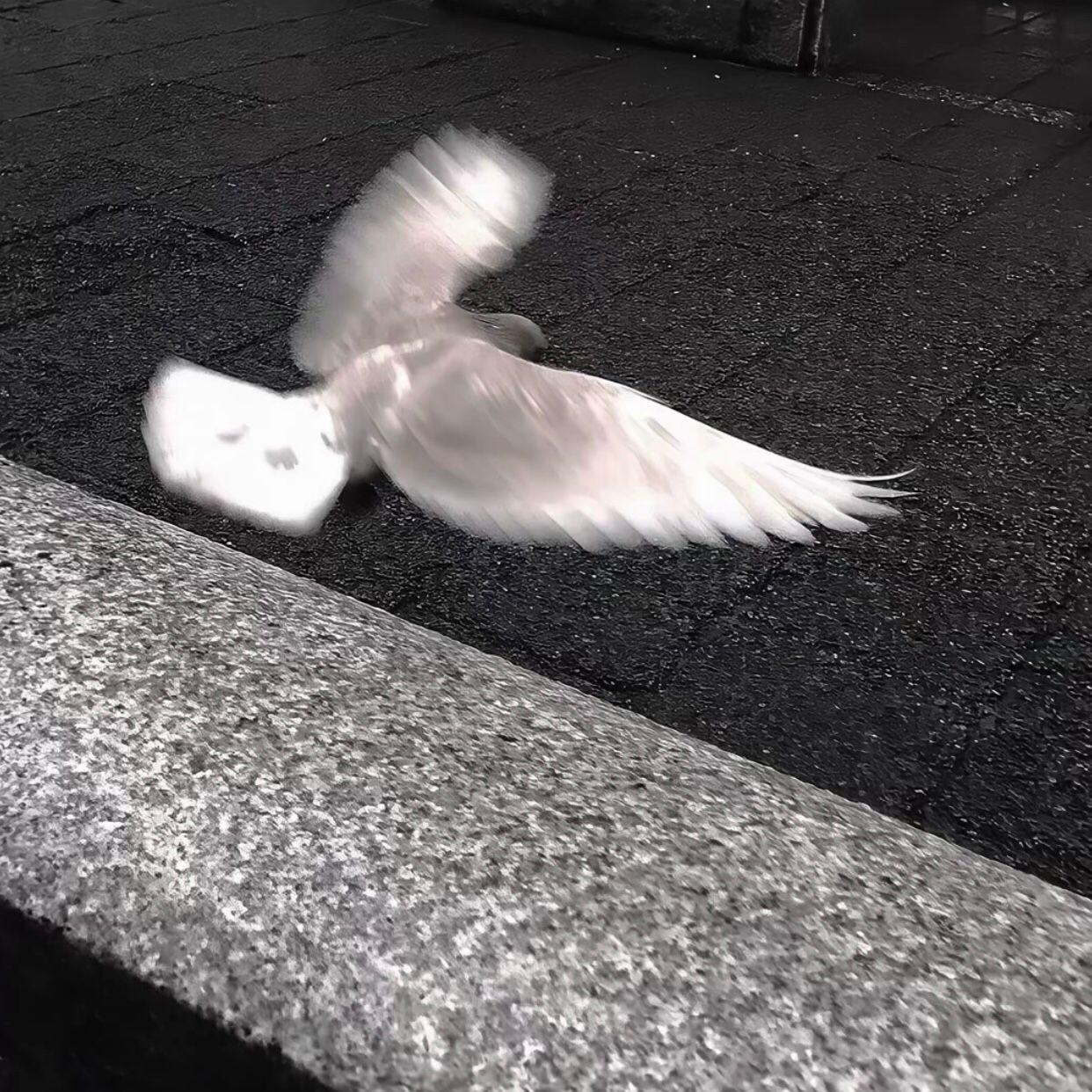 Jaymes Young - Infinity （DIPIENS remix）