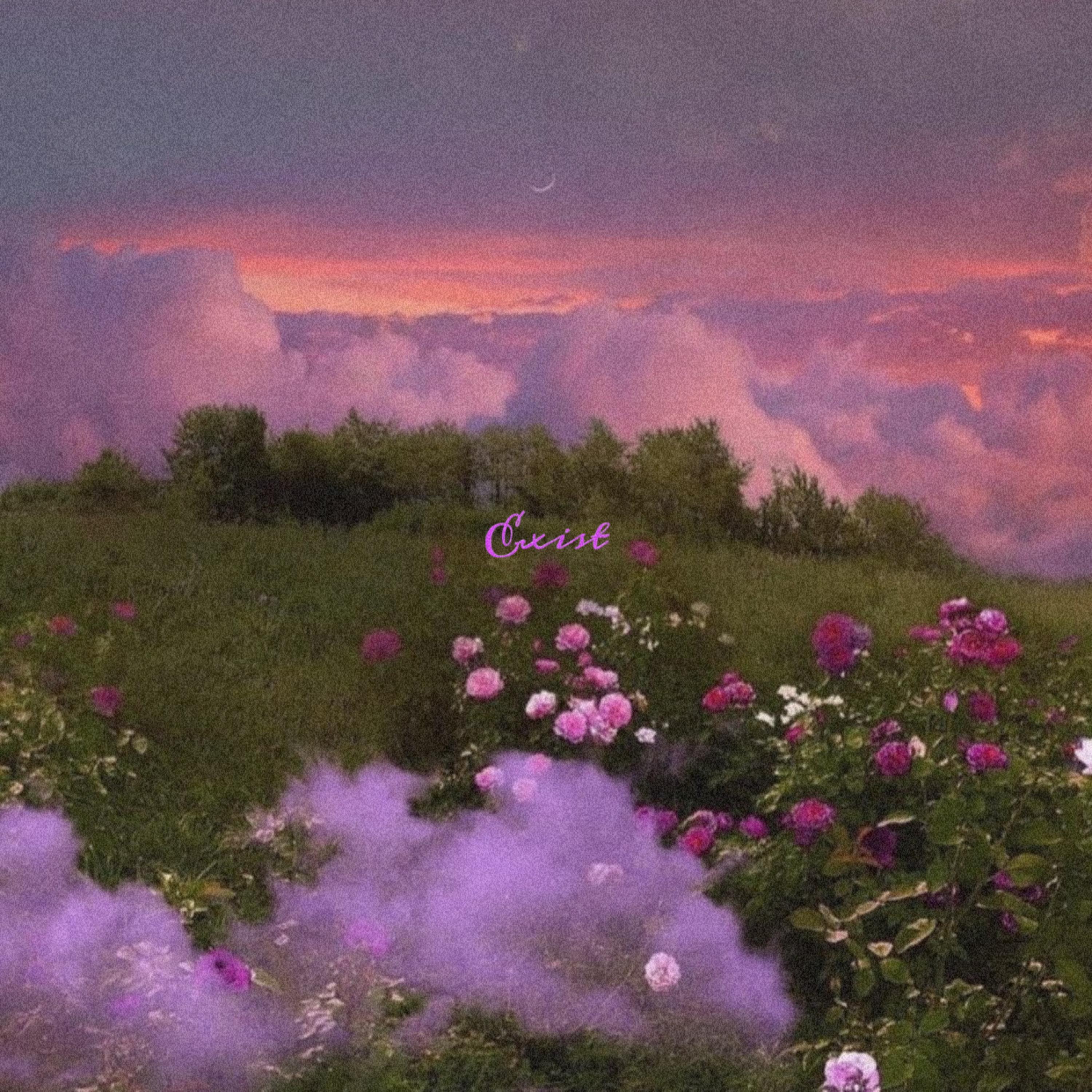 PROLLY (feat. 4_TEENY & Travixxx Ily)