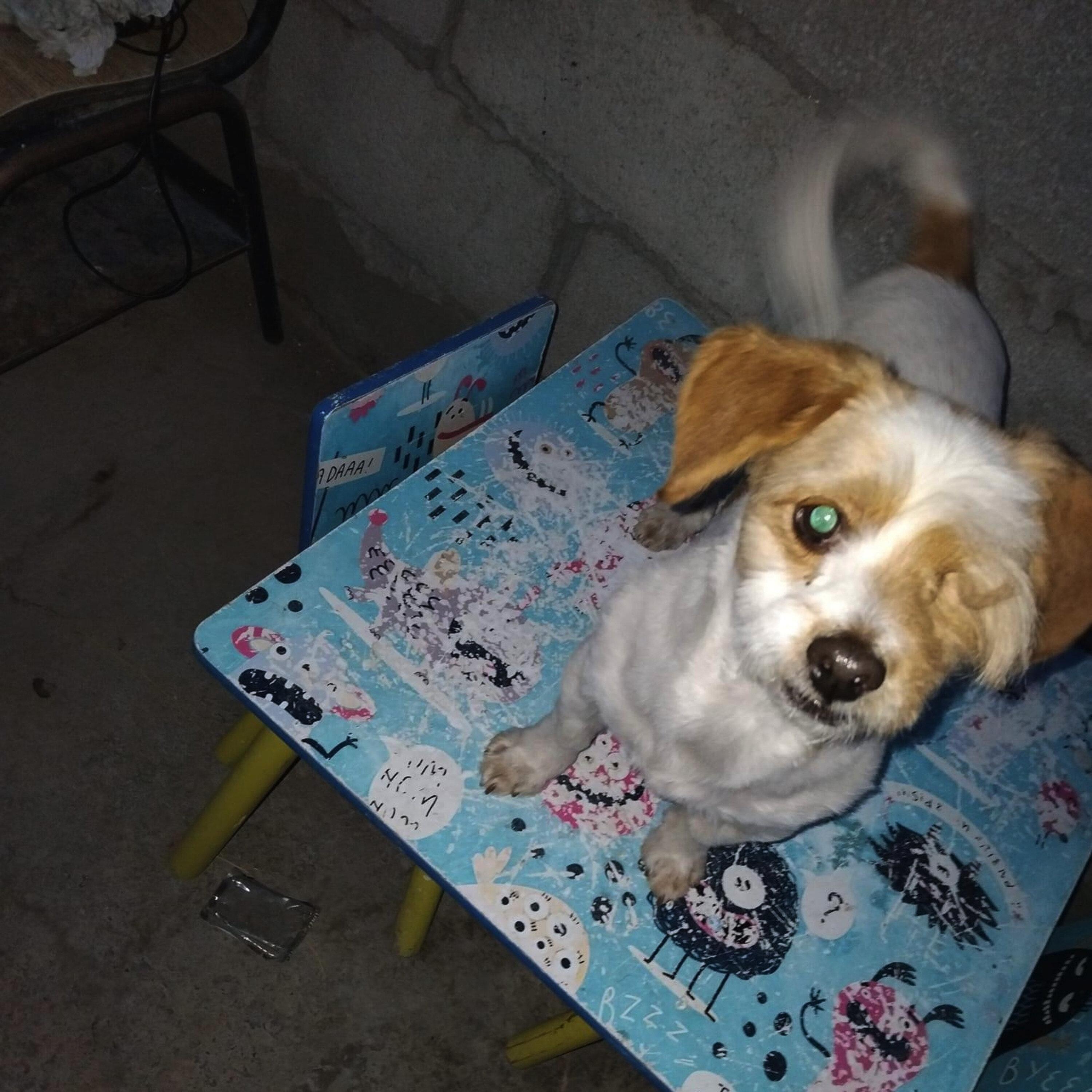 En Juárez o Tijuana