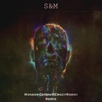 S&M