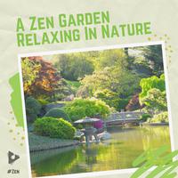 A Zen Garden Relaxing In Nature