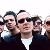 Joe Strummer & The Mescaleros