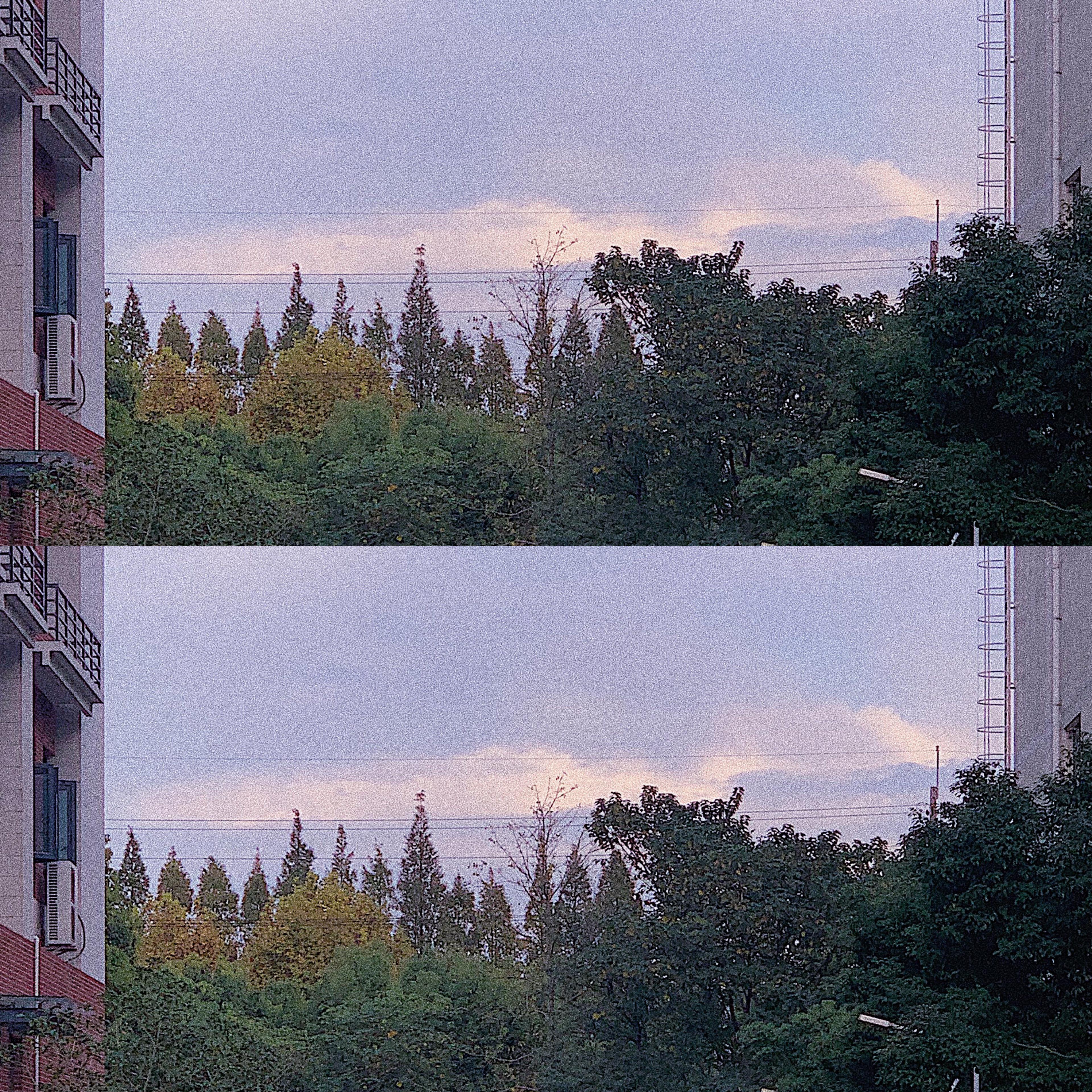 Froggy-洛阳不下雪，爷不需要你（111111111 remix）