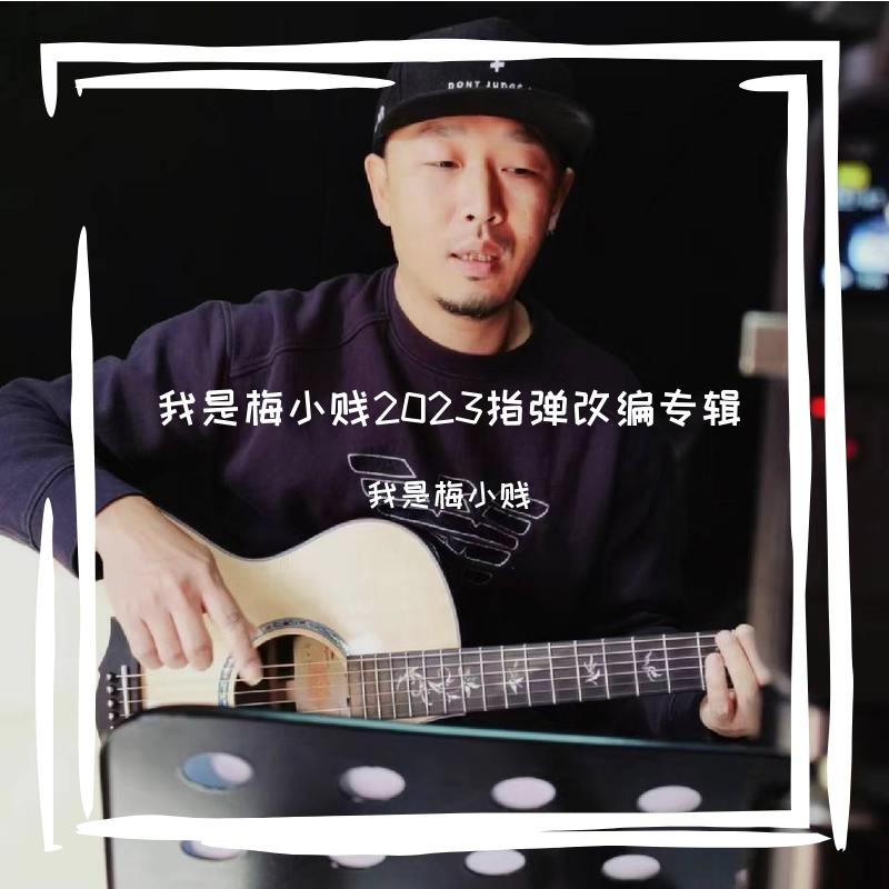藏无可藏-吉他指弹改编封面