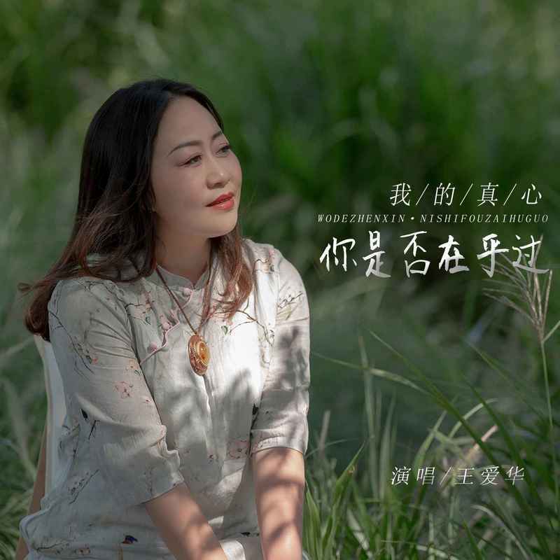 我的真心你是否在乎过 (伴奏) - 王爱华封面