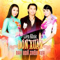 Liên Khúc Đầu Xuân Lính Chúc (Asia CD 366)