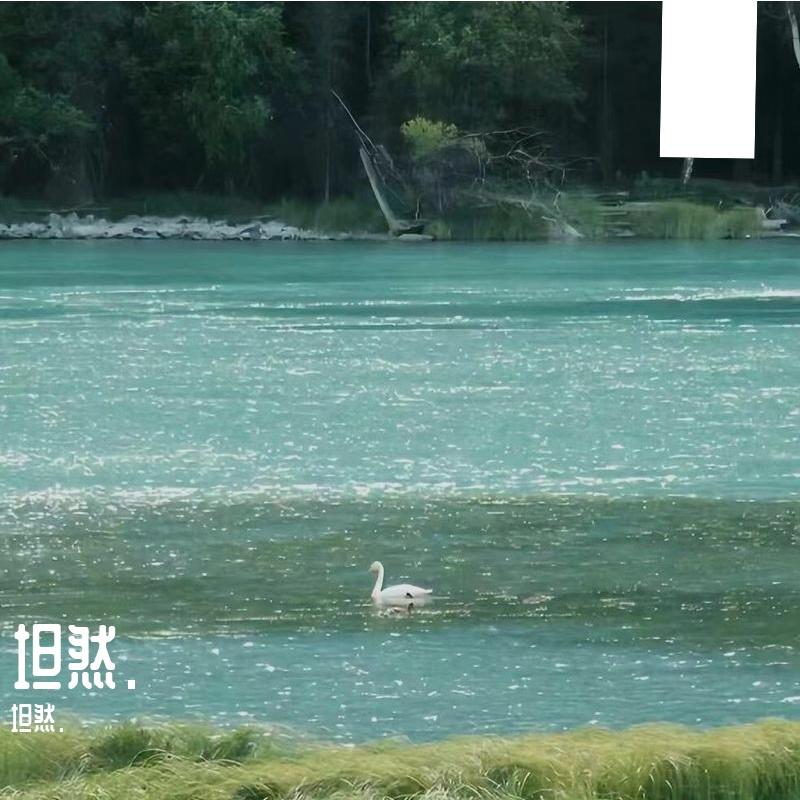 午后与猫封面