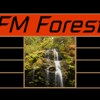 FM Forest资料,FM Forest最新歌曲,FM ForestMV视频,FM Forest音乐专辑,FM Forest好听的歌