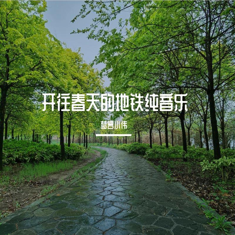 开往春天的地铁