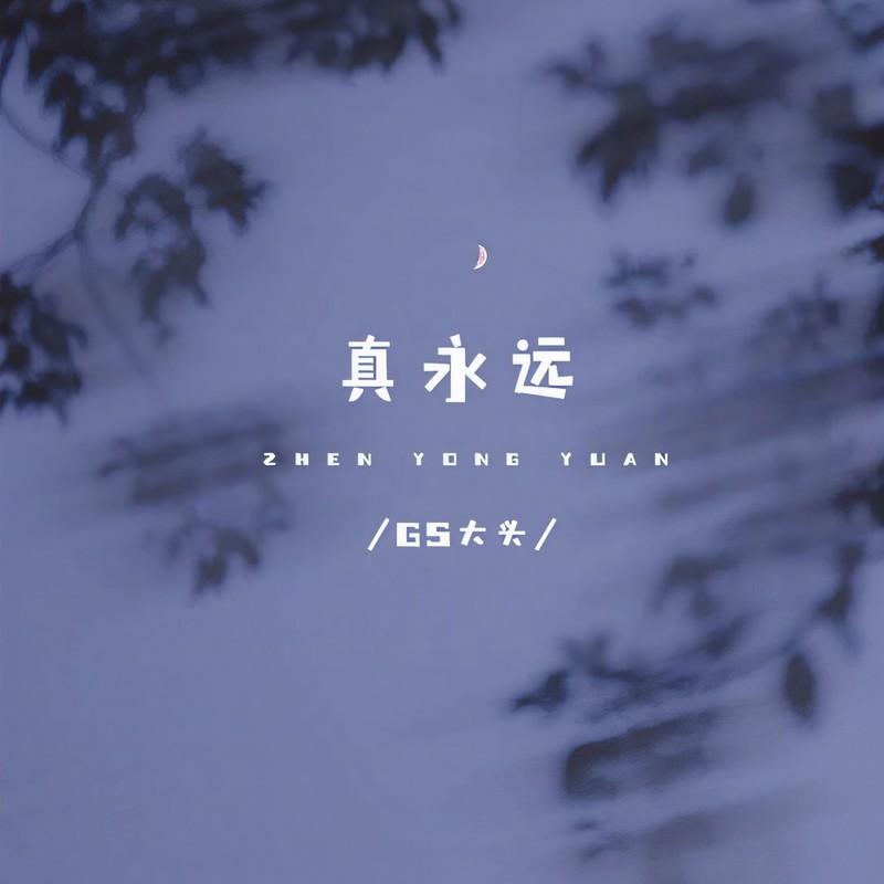 真永远(DJ版)封面