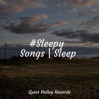 #Sleepy Songs | Sleep