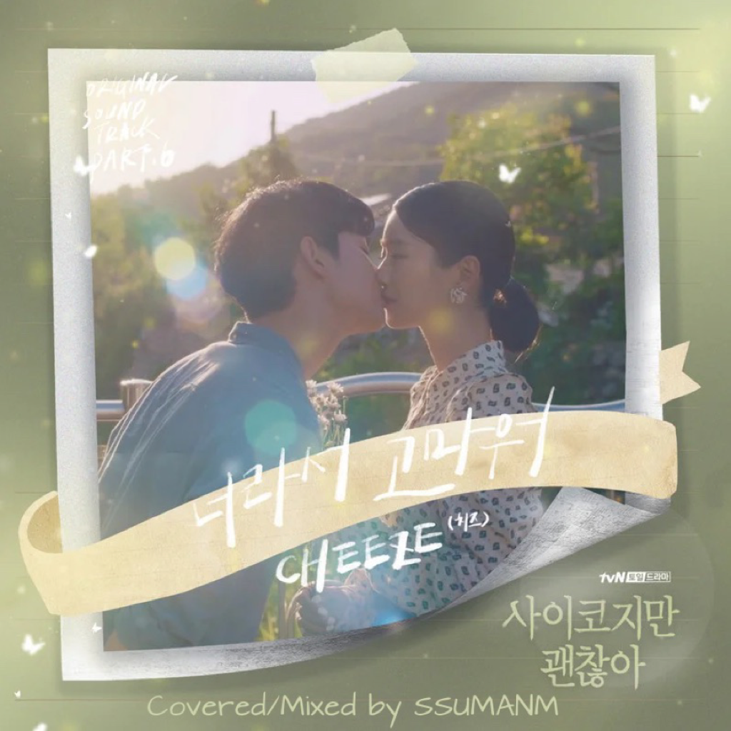 Little by little (너라서 고마워) (虽然是精神病但没关系OST)(翻自 CHEEZE)