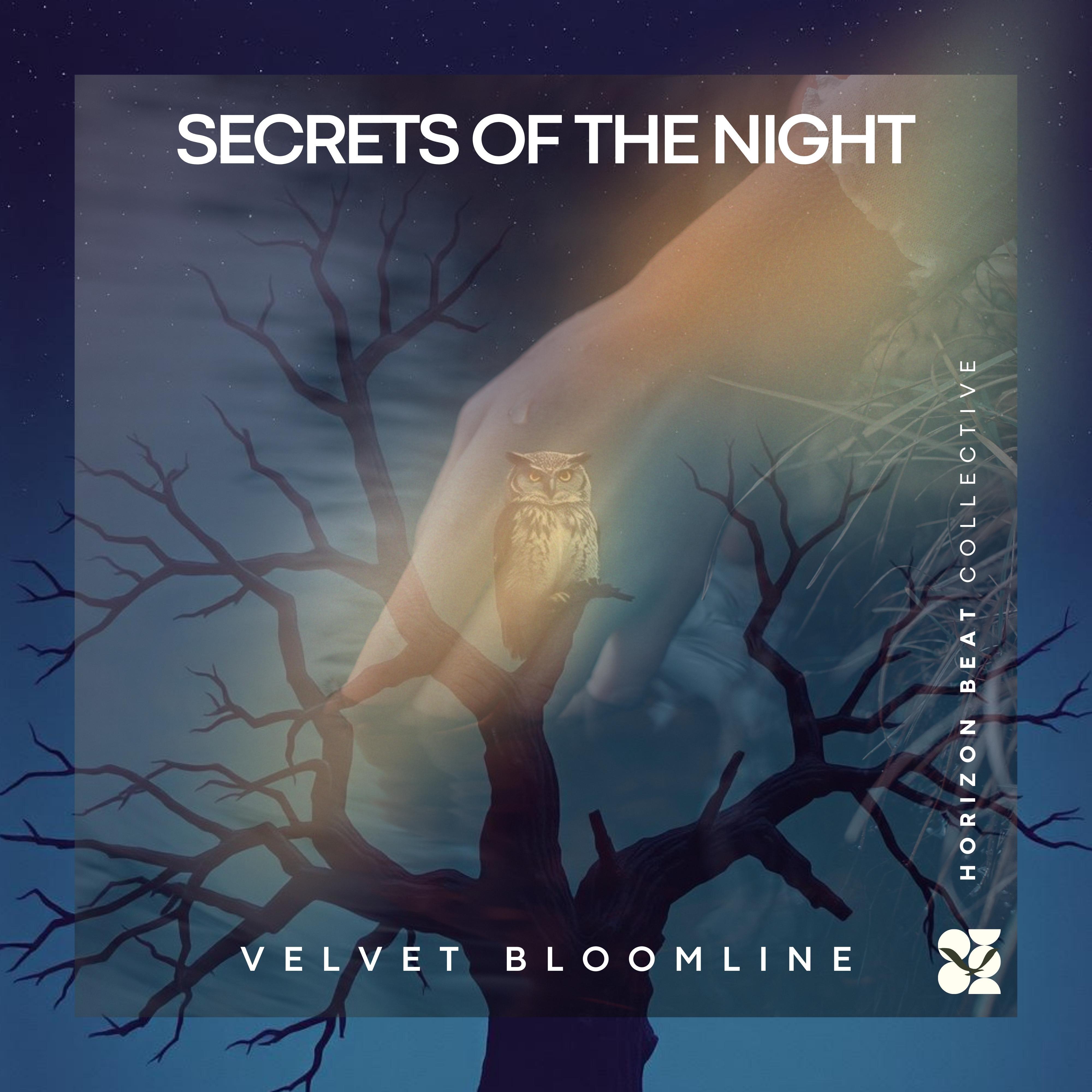 Secrets of the Night