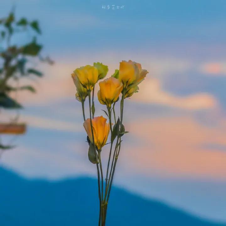 触 摸 不 到 的 妳