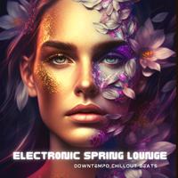 Electronic Spring Lounge (Downtempo Chillout Beats)