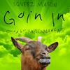 Squeez Mason - Goin In