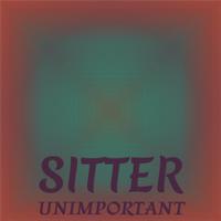 Sitter Unimportant