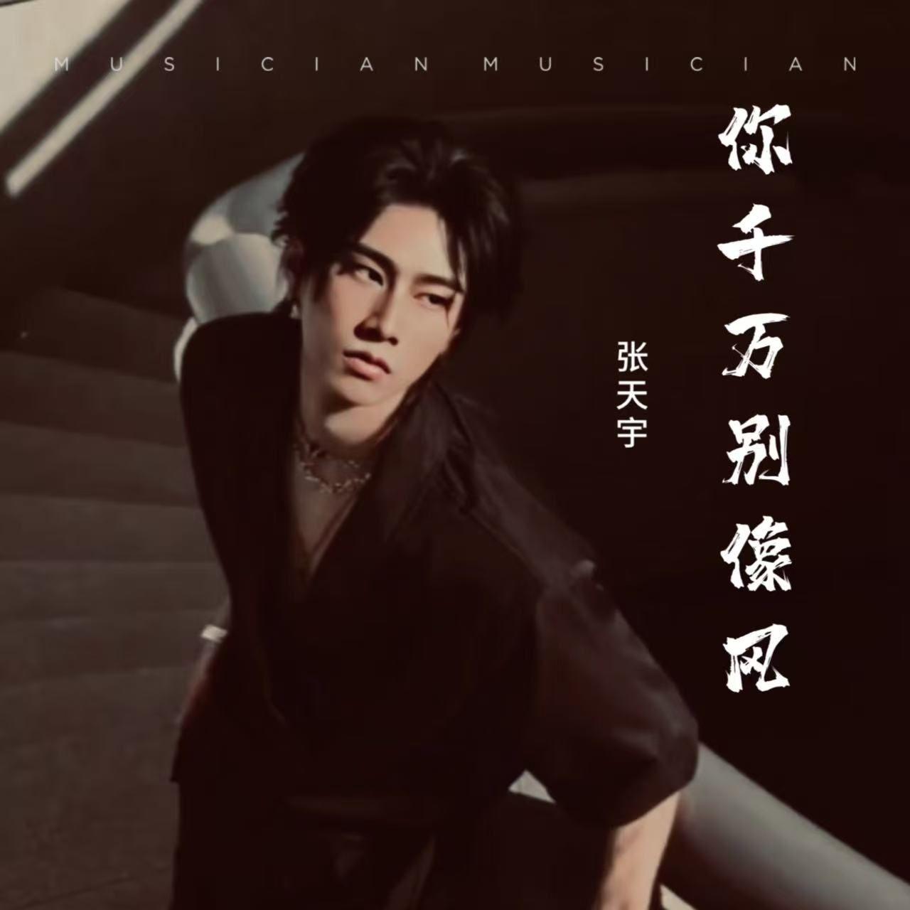人间一趟大梦一场 - 张天宇封面