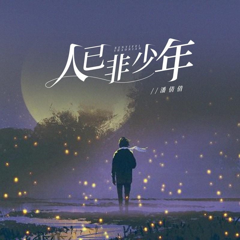 人已非少年封面
