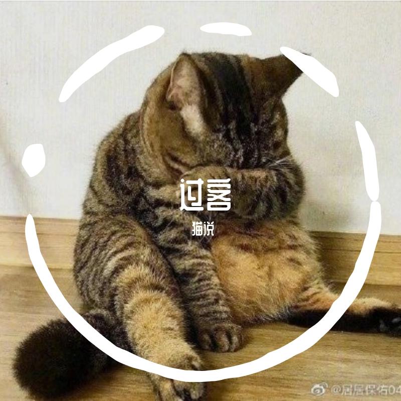 我不是你的宋东野（翻自 東文先生）封面