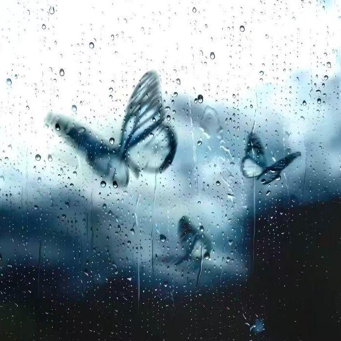 梦(你说想念的人是真能梦见的)