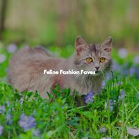 Feline Fashion Faves