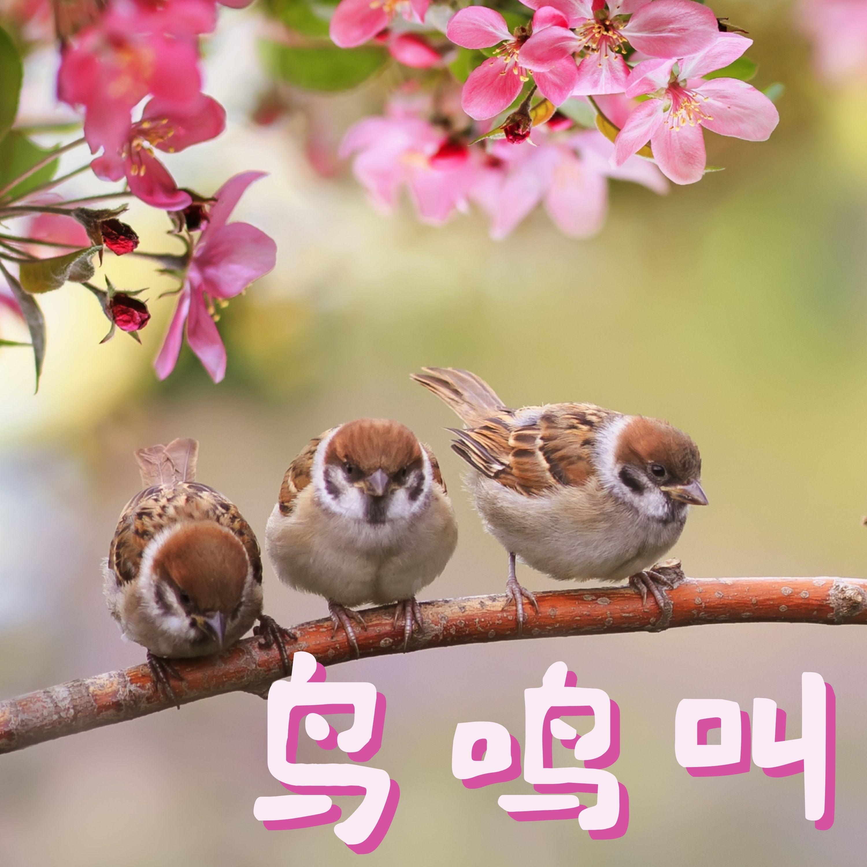 瑜伽音乐封面
