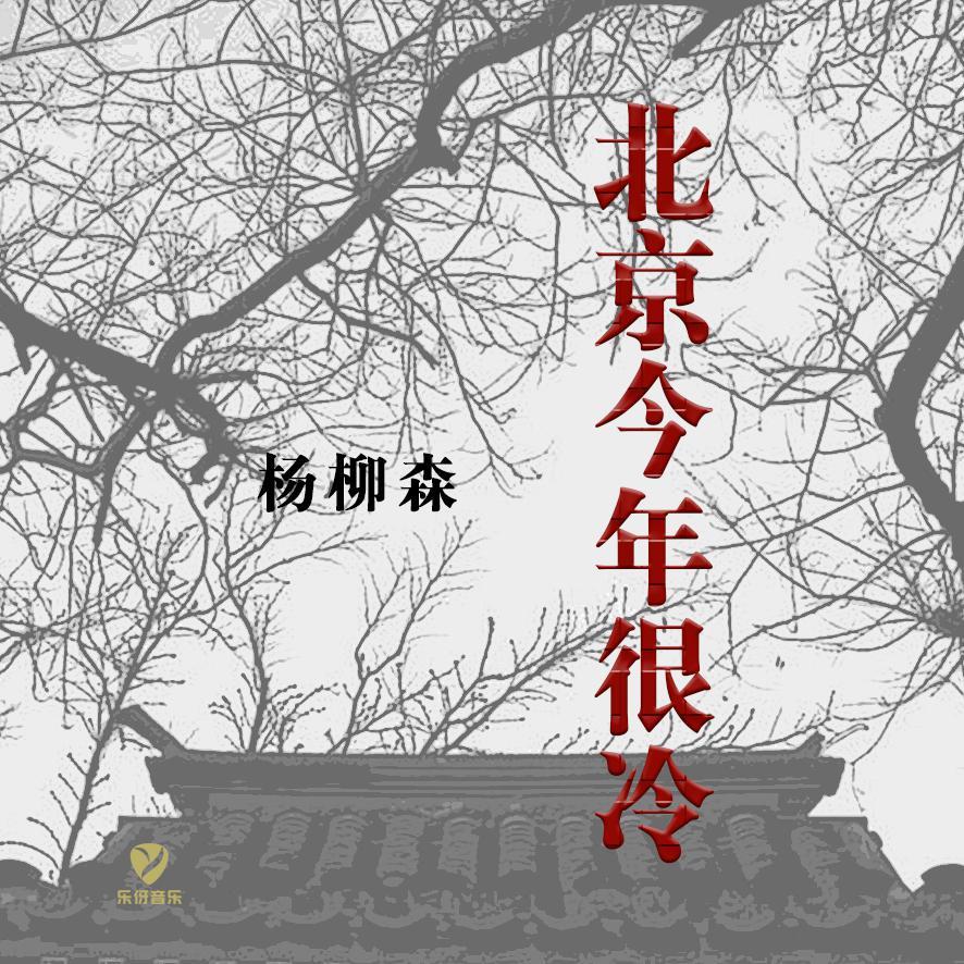 北京今年很冷封面