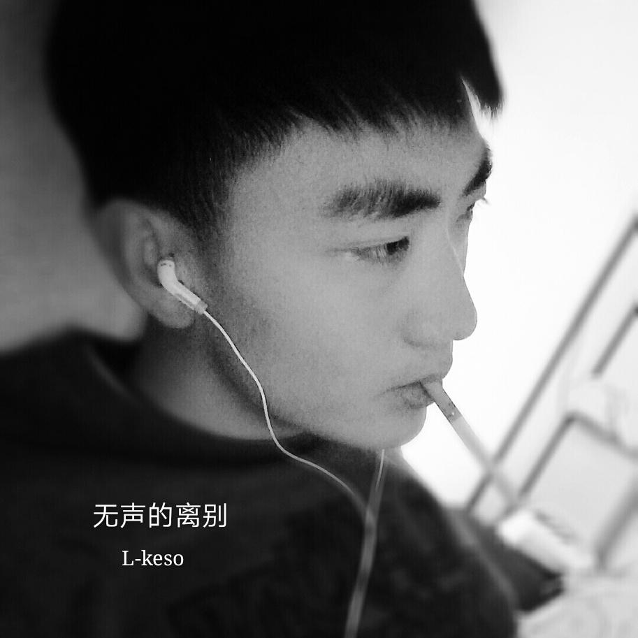 无声的离别封面