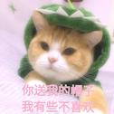 解决了