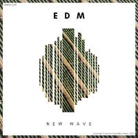 EDM New Wave 4 (Radio Edits)