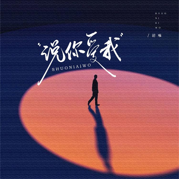 说你爱我 (伴奏)封面