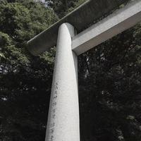 孔雀東南飛