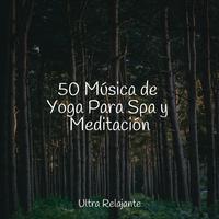 50 Música de Yoga Para Spa y Meditación