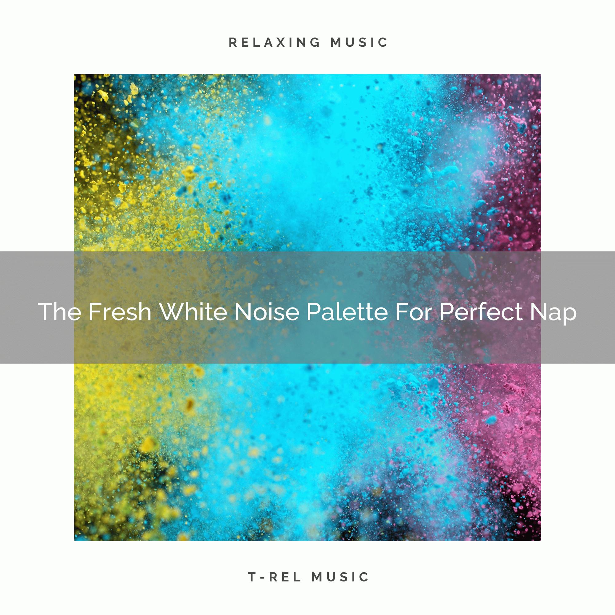 The Fresh White Noise Palette For Learning