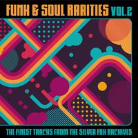 Funk & Soul Rarities: The Finest Tracks from the Silver Fox Archives, Vol. 2