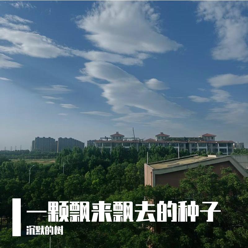 积木通天塔封面