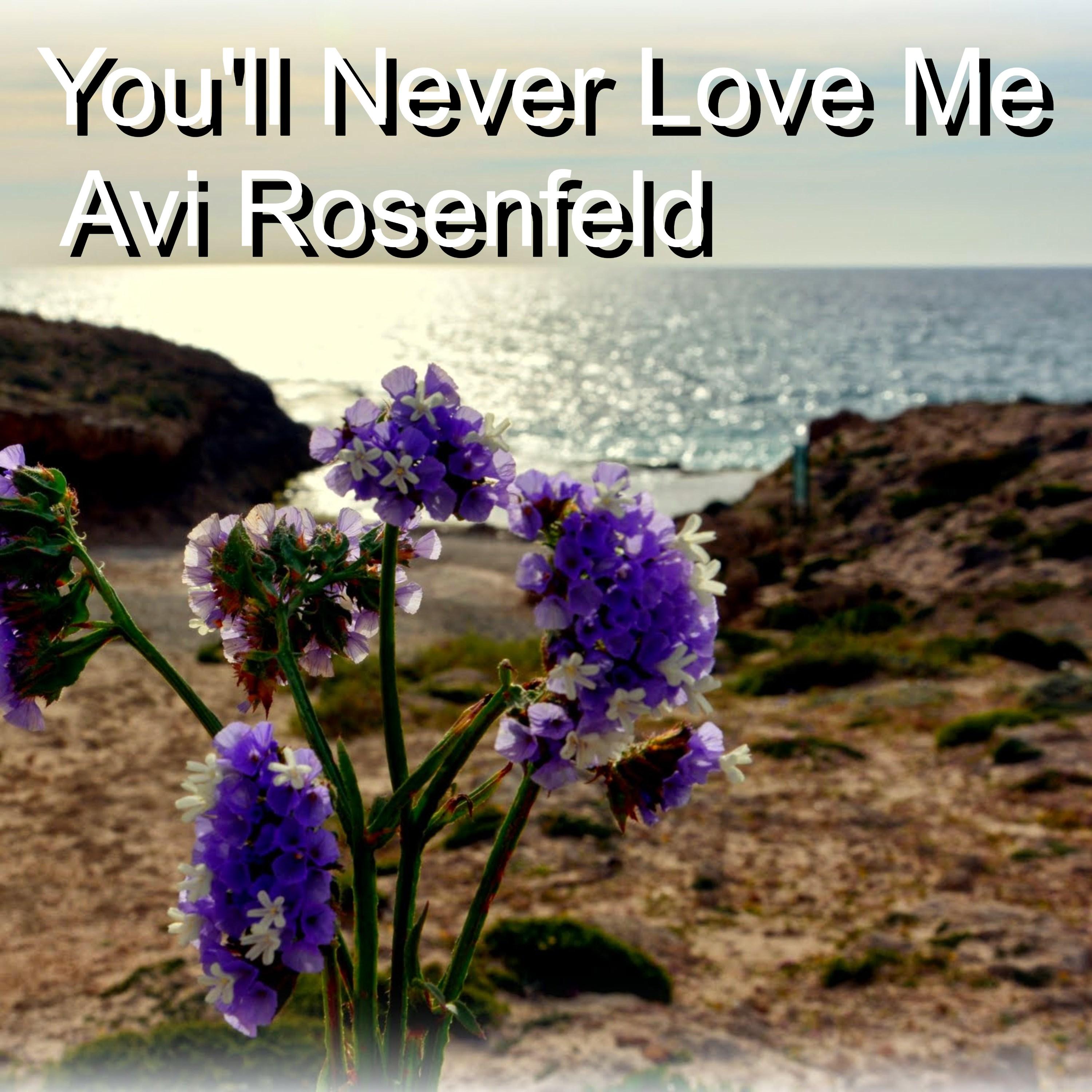 You'll Never Love Me