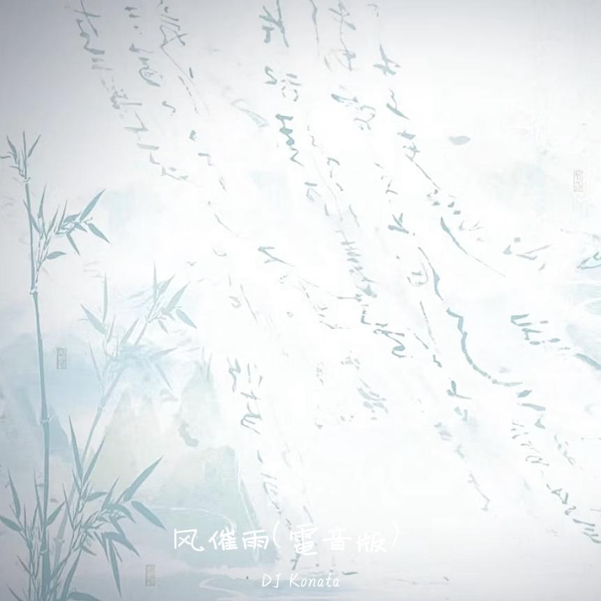 风催雨(电音版)