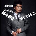 歌曲名:高夫_勇闯天涯(dj小鱼儿radio mix)歌手:小鱼儿yt所属专辑