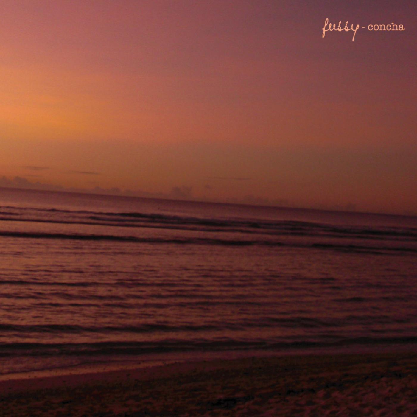 she sells sea shells by the sea shore